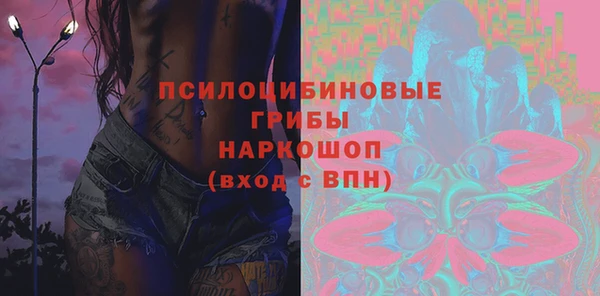 бошки Богородицк