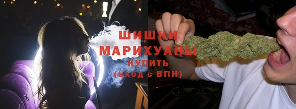 mdpv Богданович
