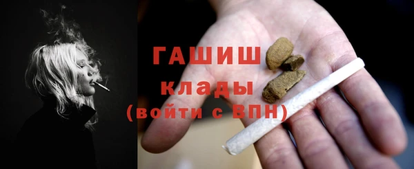 гидра Бородино