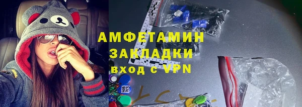 гидра Бородино